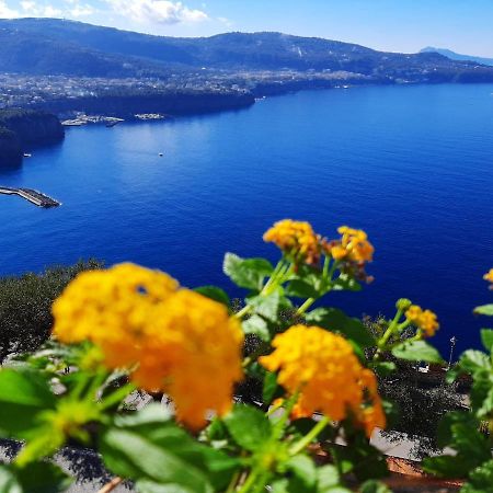 Ferienwohnung Bella Vista House-Sorrento Coast - Free Parking-Solarium Vico Equense Exterior foto