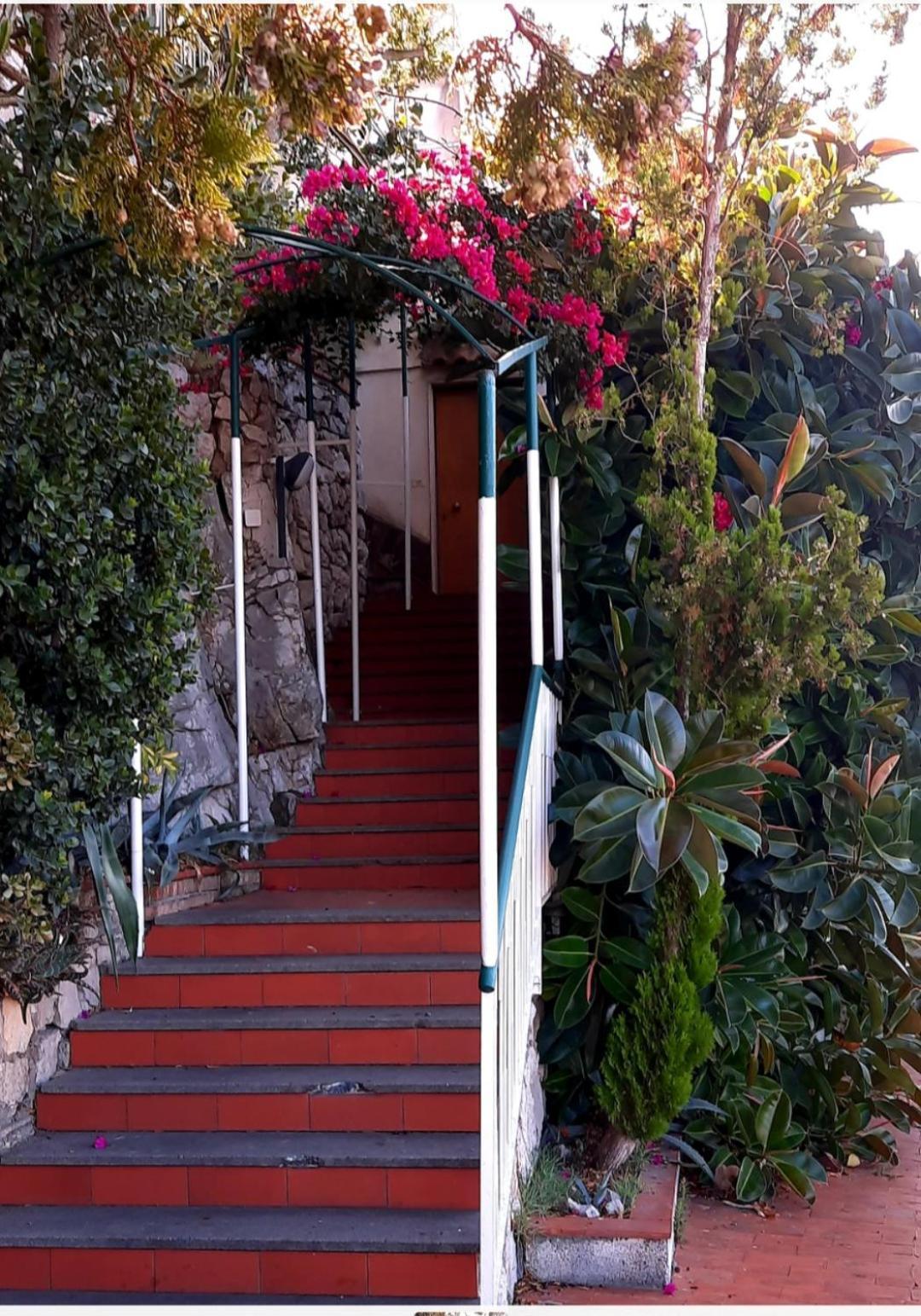 Ferienwohnung Bella Vista House-Sorrento Coast - Free Parking-Solarium Vico Equense Exterior foto